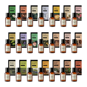Custom Eco-friendly Concentrated Fragrance Oil Manufacturer OEM/ODM Scent Oil Natural Long Lasting 50/100ml For Aroma Diffuser